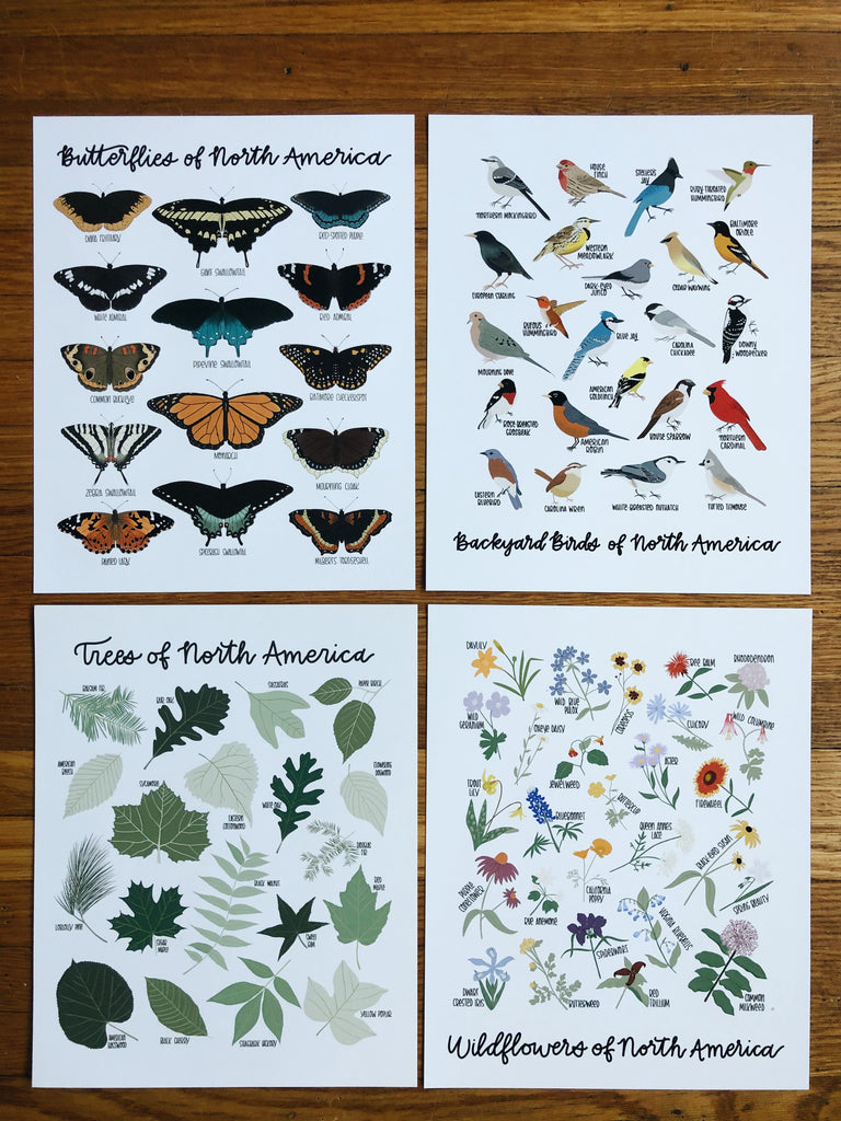 Celebrating 10 years: Part 2- Struggles, Nature and a Pandemic