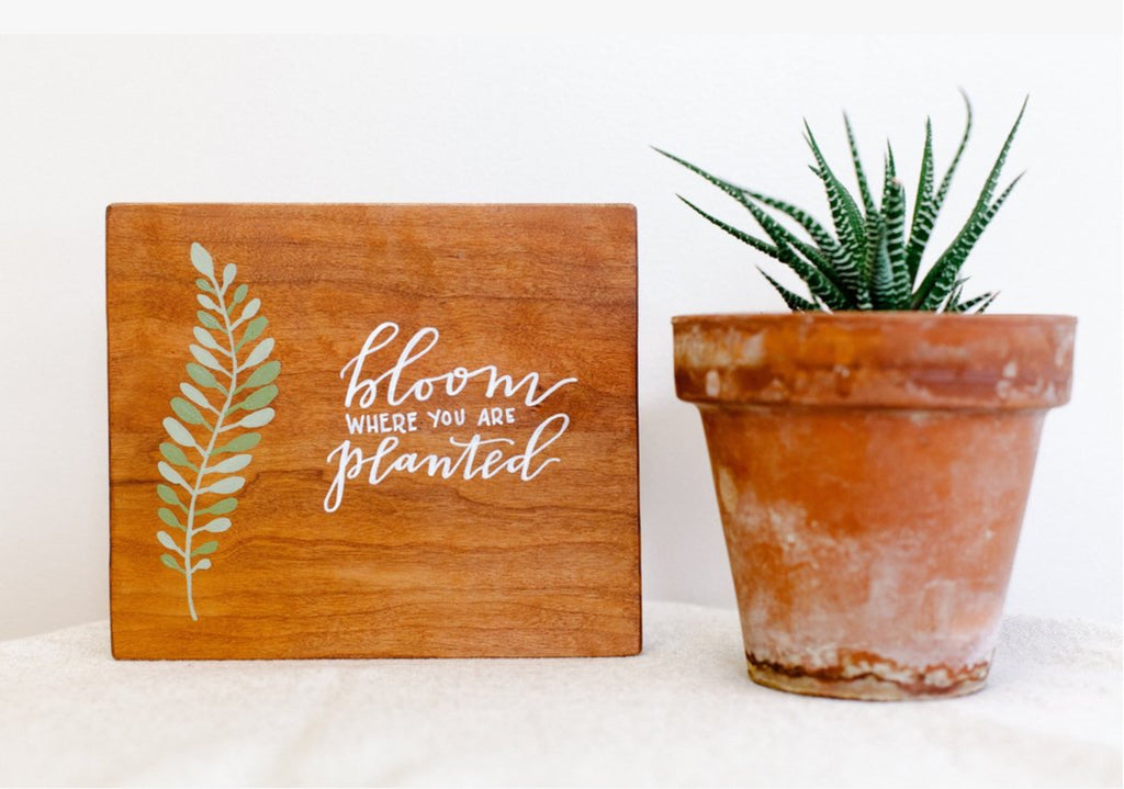 Embracing Home- My Journey