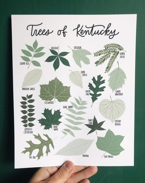 PRINT- Trees of Kentucky