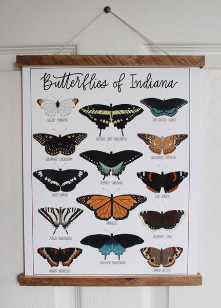 PRINT- Butterflies of Indiana