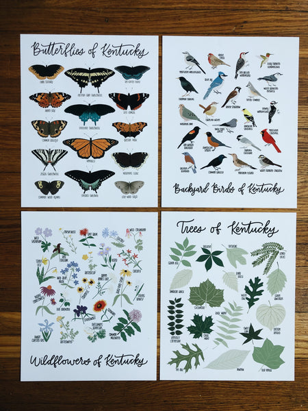8x10 Natural History Print Bundle