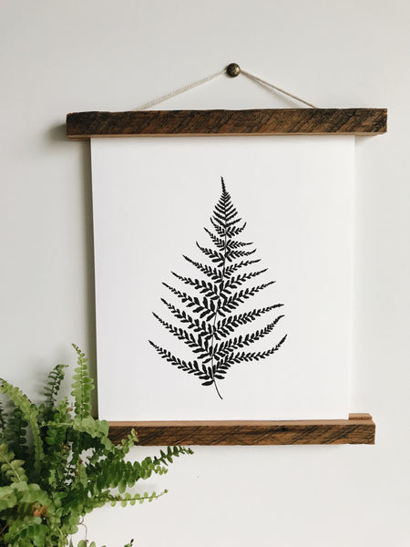 Print- Fern Illustration 8x10