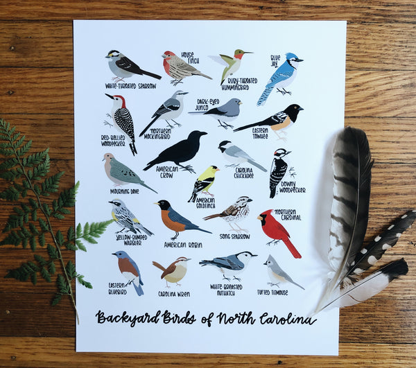 PRINT- Backyard Birds of North Carolina