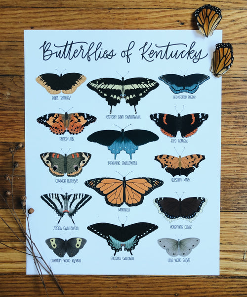 PRINT- Butterflies of Kentucky