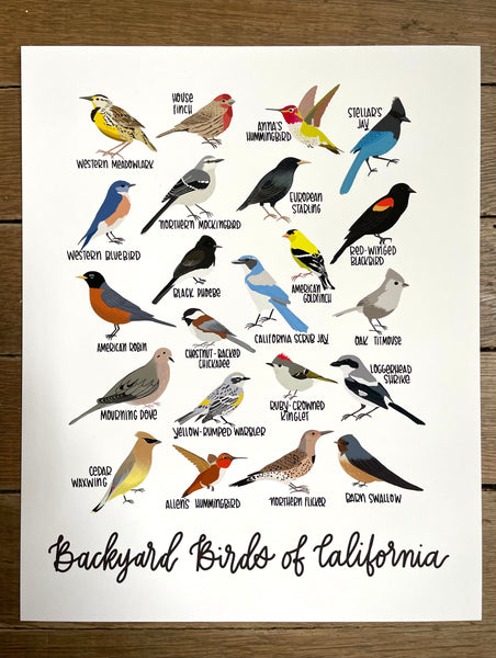 PRINT- Backyard Birds of California