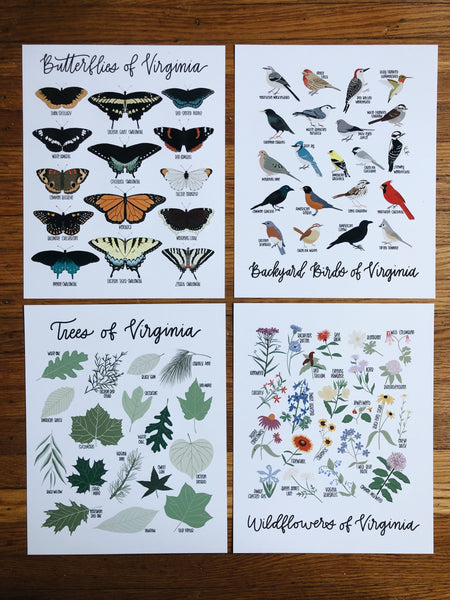 8x10 Natural History Print Bundle