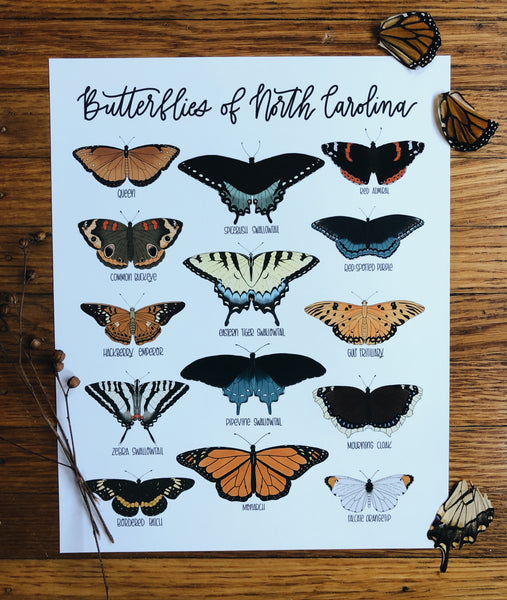 PRINT- Butterflies of North Carolina