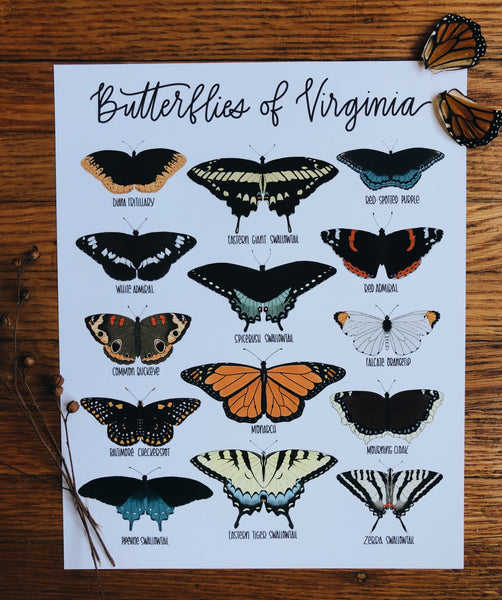 PRINT- Butterflies of Virginia