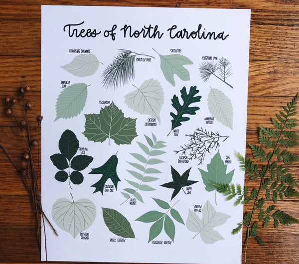 PRINT- Trees of North Carolina