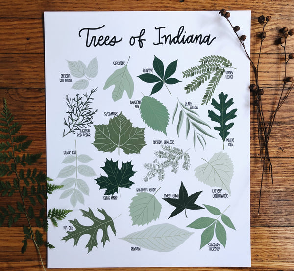 PRINT- Trees of Indiana