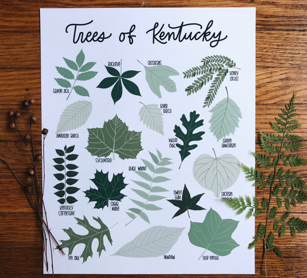 PRINT- Trees of Kentucky